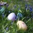 Pasqua e Pasquetta 2024 in agriturismo